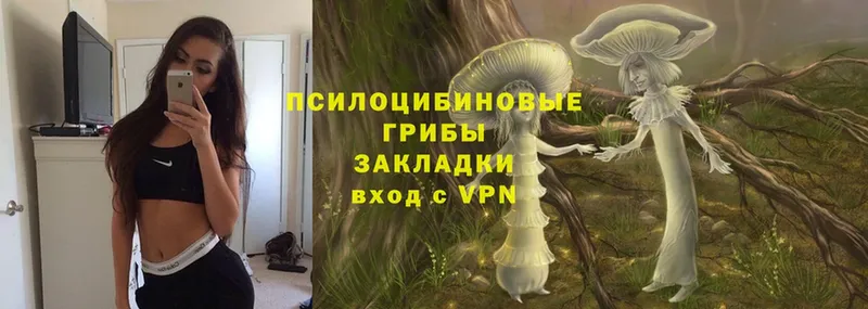 Галлюциногенные грибы Magic Shrooms  Володарск 